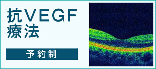 抗VEGF療法（予約制）はこちら